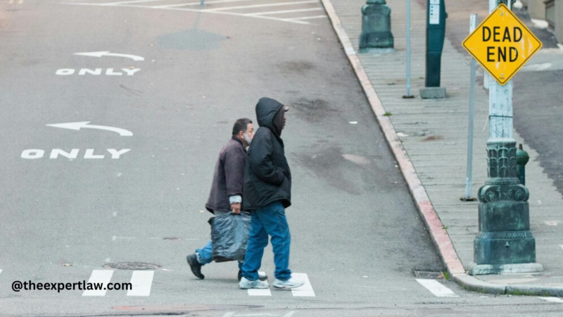 Safer Streets: Reducing Risks for Pedestrians Everywhere