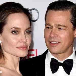 Angelina Jolie Has Dropped A Lawsuit Against Brad Pitt